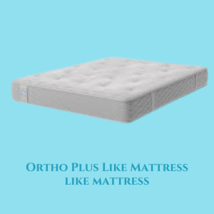 Ortho Plus Like Mattress